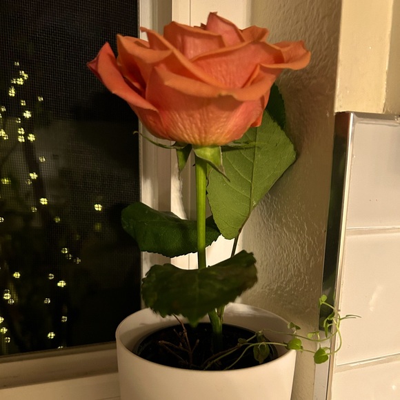 Shipping Label - Picture 2 of 2